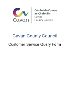 Cavan Council Customer Service Query eForm summary image
									