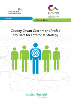Cavan Town Catchment Profile summary image
									