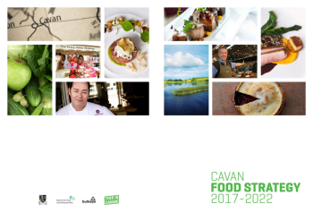 Cavan Food Strategy 2017-22 summary image
									