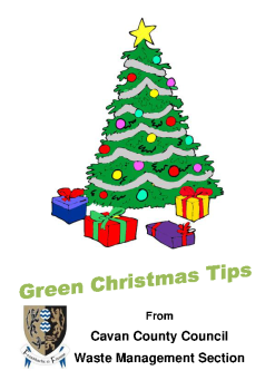 Green-Christmas Website Advertisement summary image
									