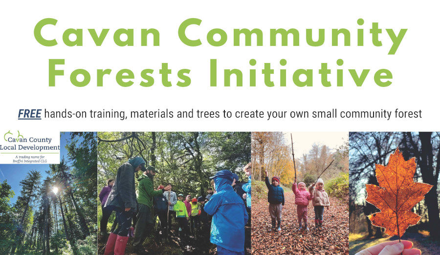 Cavan-Community-Forest-Initiative_Short-Flyer