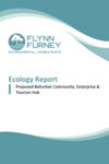 Belturbet Community Hub Ecology Rep Vn A thumbnail