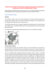Extract from Amended Chief Executive Report thumbnail