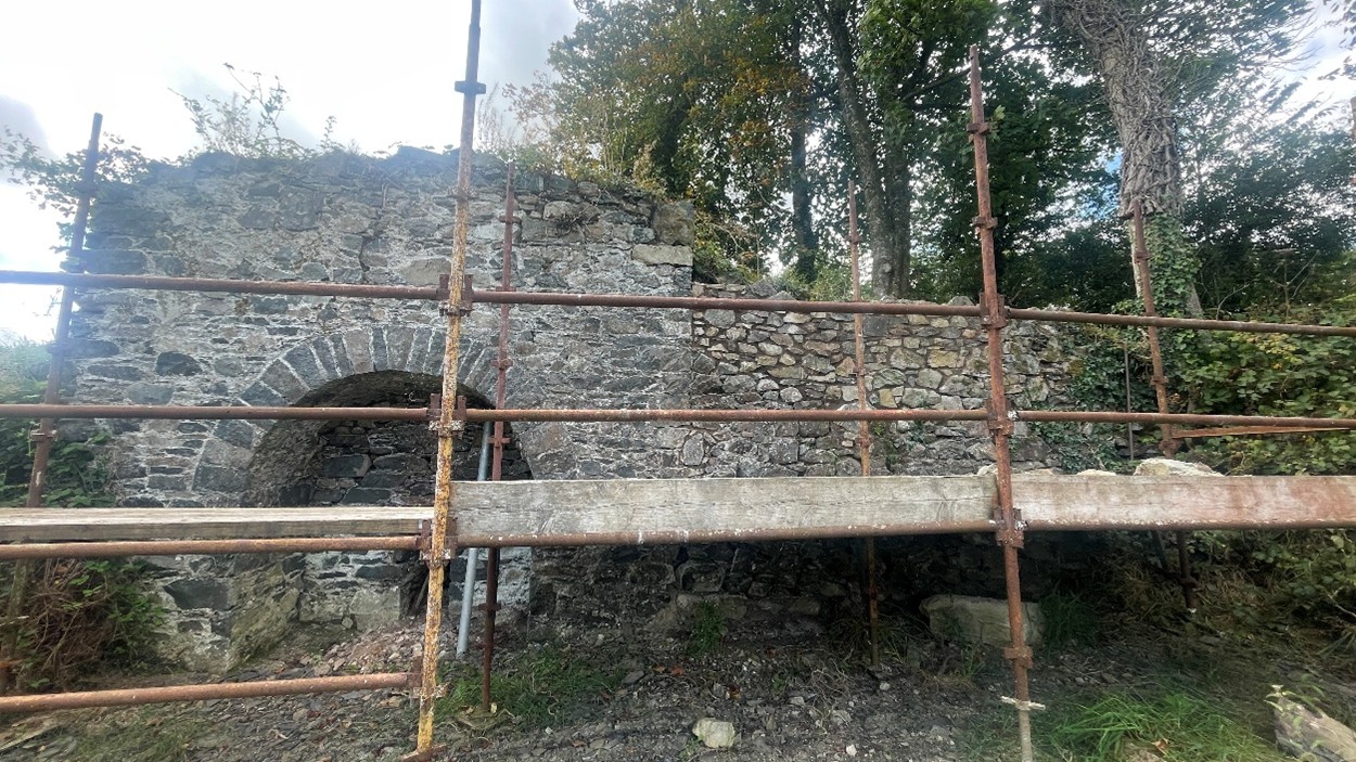 Picture1